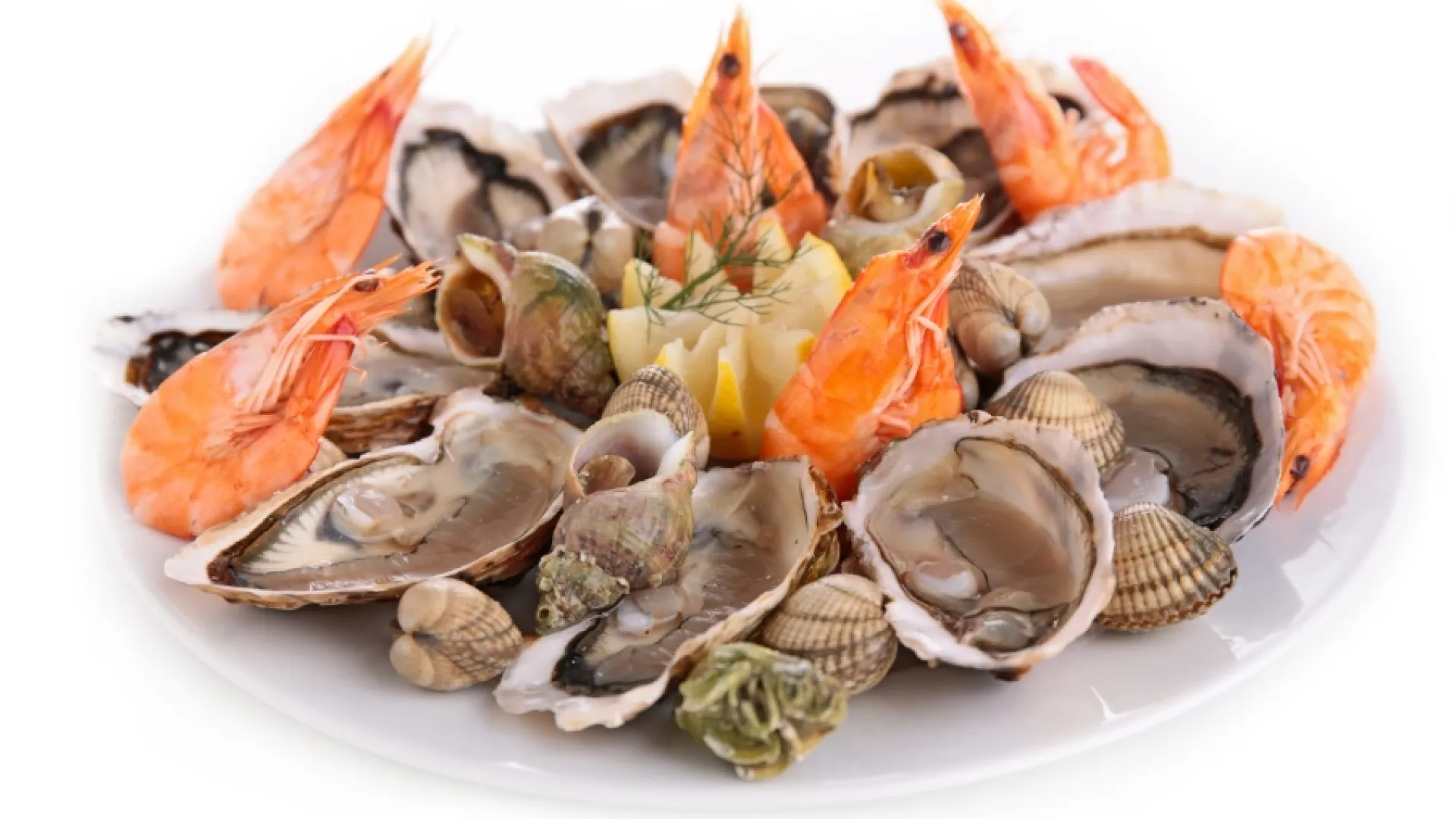 Fruits de mer